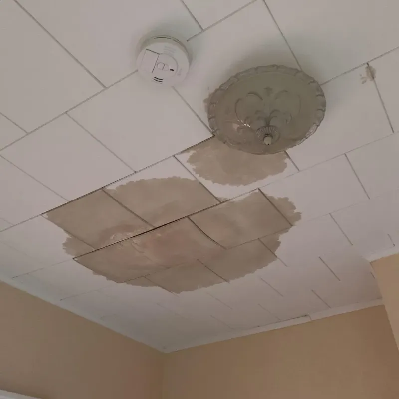 Ceiling Water Damage Repair in Platte County, WY