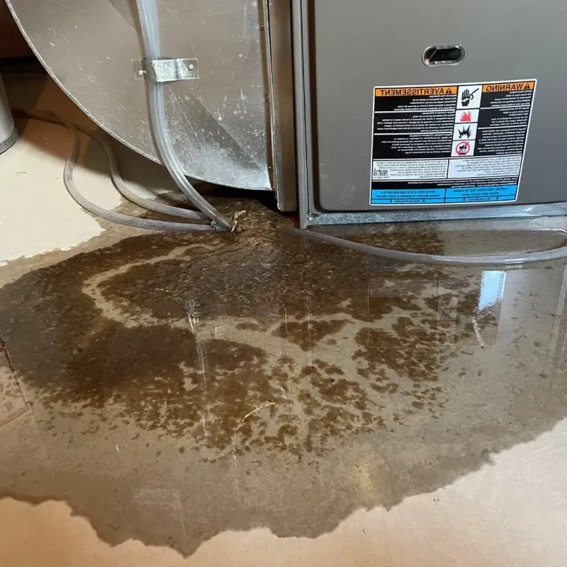 Pipe Burst and Leak Restoration in Platte County, WY