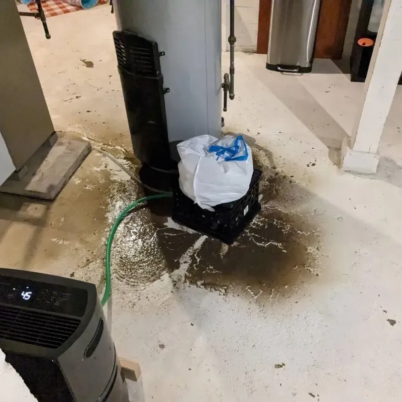Sewage Backup Cleanup Service in Platte County, WY